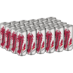 Power-G Pomegranate 24 x 250ml Dosen EINWEG